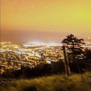 Meet your Posher, Liz